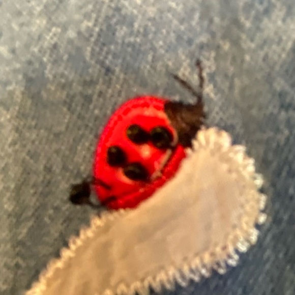 Ms Lee vintage Large layered button up. Flowers & lady bugs. Red gingham denim - Picture 8 of 8